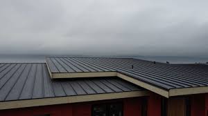 Sheet Metal Roofing in Taft Southwest, TX